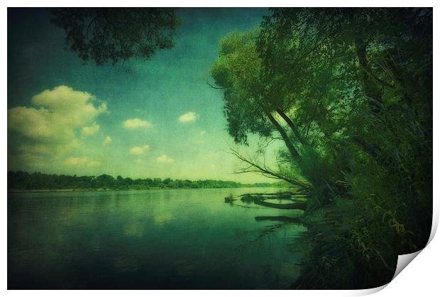 Narew River Print by Piotr Tyminski