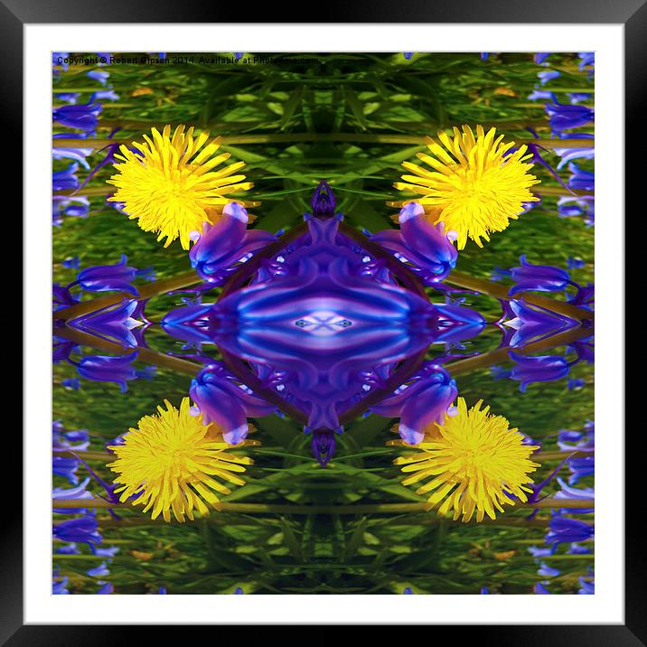  Dandy Four Abstract Framed Mounted Print by Robert Gipson