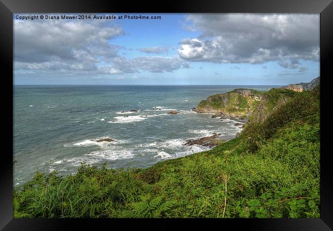  Ilfracombe Coastal scene Framed Print by Diana Mower