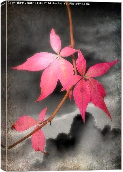  Last Leaves Of Autumn Canvas Print by Christine Lake