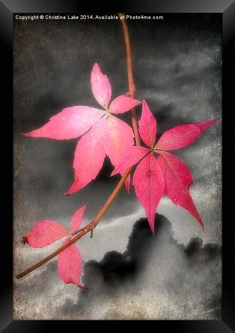  Last Leaves Of Autumn Framed Print by Christine Lake