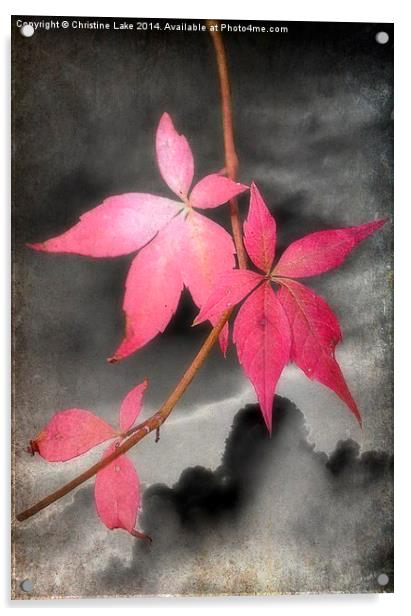  Last Leaves Of Autumn Acrylic by Christine Lake