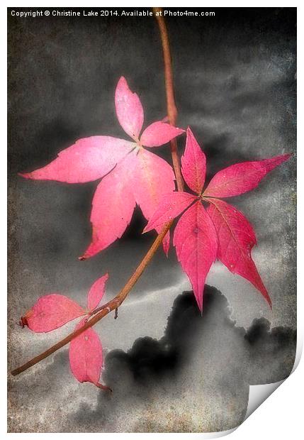  Last Leaves Of Autumn Print by Christine Lake