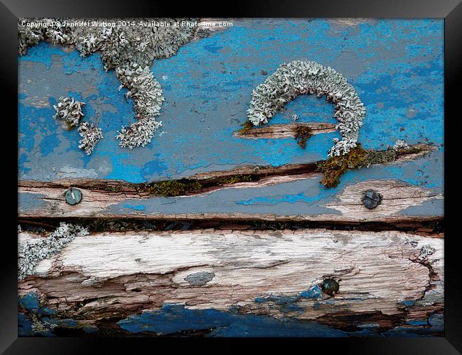 Blue Lichen Framed Print by Jennifer Henderson