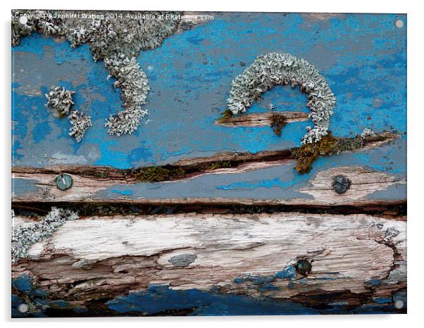 Blue Lichen Acrylic by Jennifer Henderson