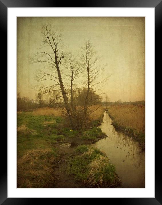 Utrata river Framed Mounted Print by Piotr Tyminski