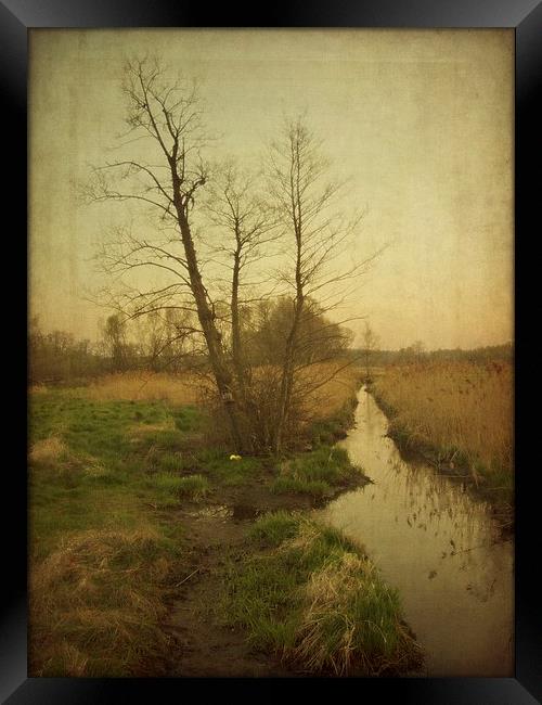 Utrata river Framed Print by Piotr Tyminski