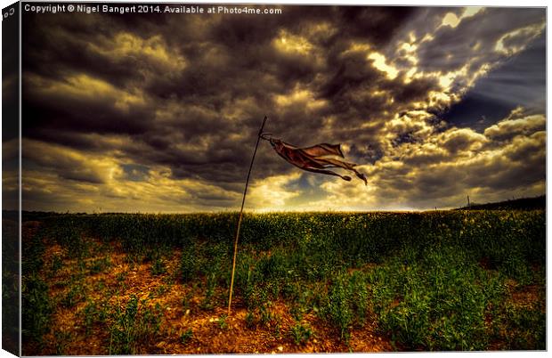  Sentry Canvas Print by Nigel Bangert