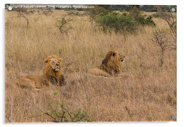 Two Kings Acrylic by Howard Kennedy