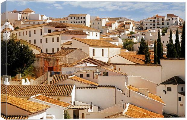  Andalusian White Washed Village Canvas Print by Mal Bray