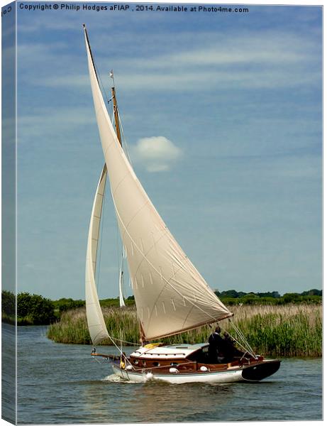  Traditional Broads Cruiser Canvas Print by Philip Hodges aFIAP ,