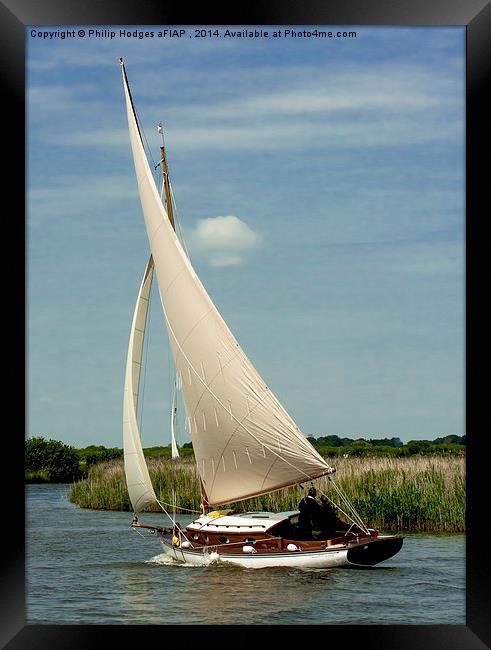  Traditional Broads Cruiser Framed Print by Philip Hodges aFIAP ,