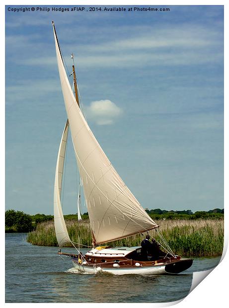  Traditional Broads Cruiser Print by Philip Hodges aFIAP ,