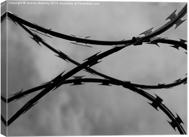 Barbed Wire Canvas Print by Jeremy Moseley