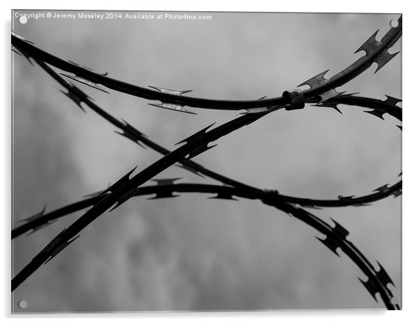 Barbed Wire Acrylic by Jeremy Moseley