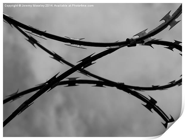 Barbed Wire Print by Jeremy Moseley