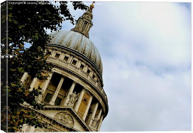 St Paul's Cathedral London  Canvas Print by Jeremy Moseley