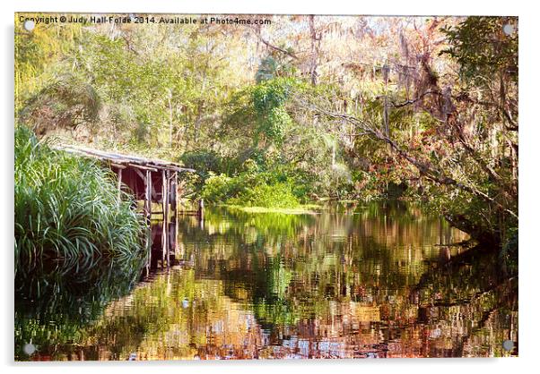  Swamp Life Acrylic by Judy Hall-Folde