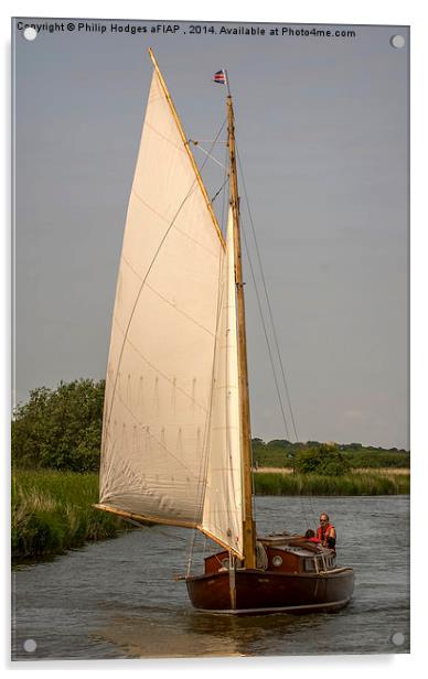  Traditional Norfolk Broads Cruiser Acrylic by Philip Hodges aFIAP ,