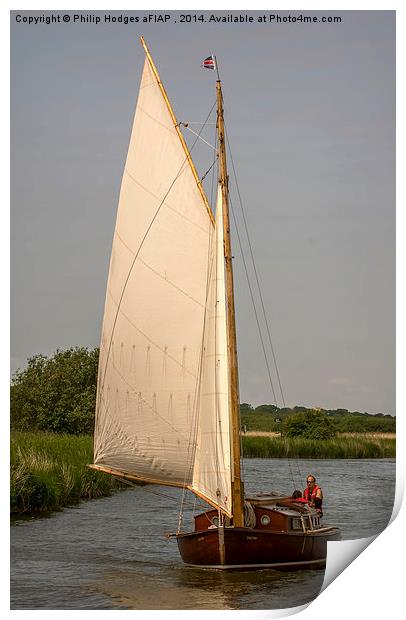  Traditional Norfolk Broads Cruiser Print by Philip Hodges aFIAP ,