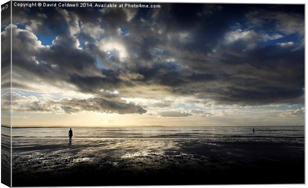  Crosby Sands Canvas Print by David Coldwell