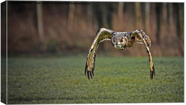  European Eagle Owl in Flight Canvas Print by Mike Twist