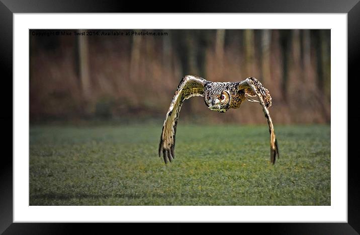  European Eagle Owl in Flight Framed Mounted Print by Mike Twist