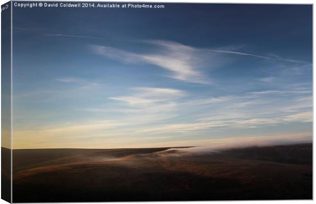  The Moor Canvas Print by David Coldwell