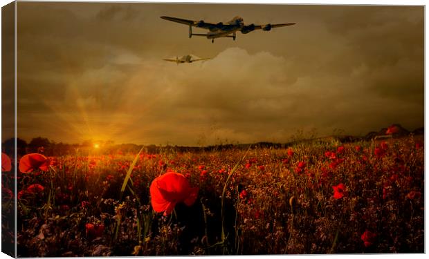 Lest We Forget Canvas Print by Jason Green