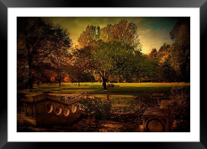  Rhyddings Park Framed Mounted Print by Irene Burdell
