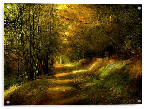  The Coppice  Acrylic by Irene Burdell