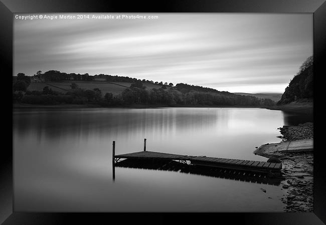 Damflask Mono Framed Print by Angie Morton