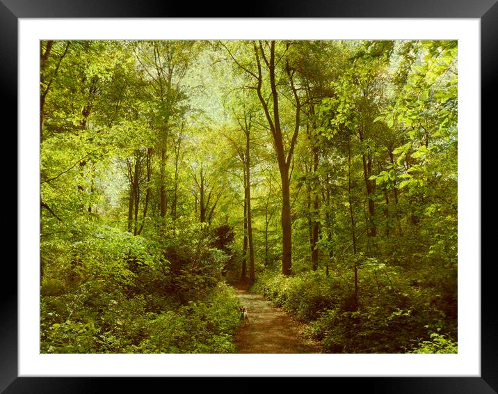  The Path Goes Ever On. Framed Mounted Print by Heather Goodwin