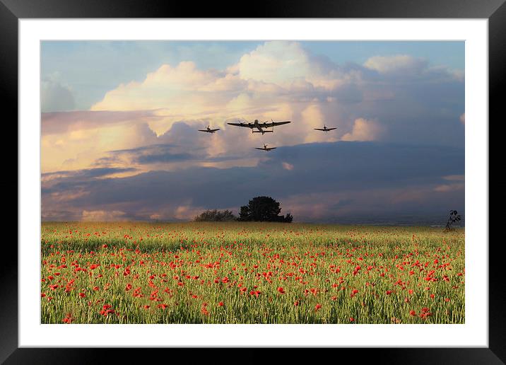 Remembrance Day  Framed Mounted Print by J Biggadike
