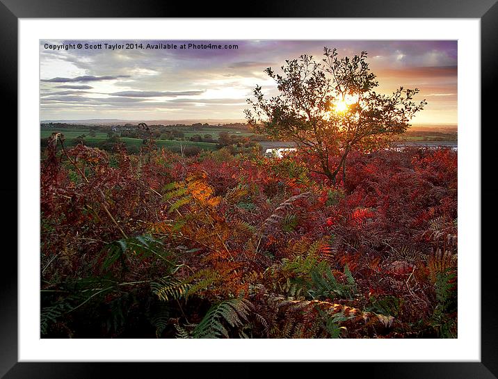  Autumn at Anglezarke Framed Mounted Print by Scott Taylor