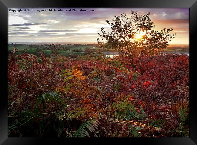  Autumn at Anglezarke Framed Print by Scott Taylor
