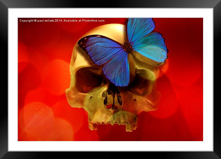  SKULL AND BUTTERFLY Framed Mounted Print by paul willats