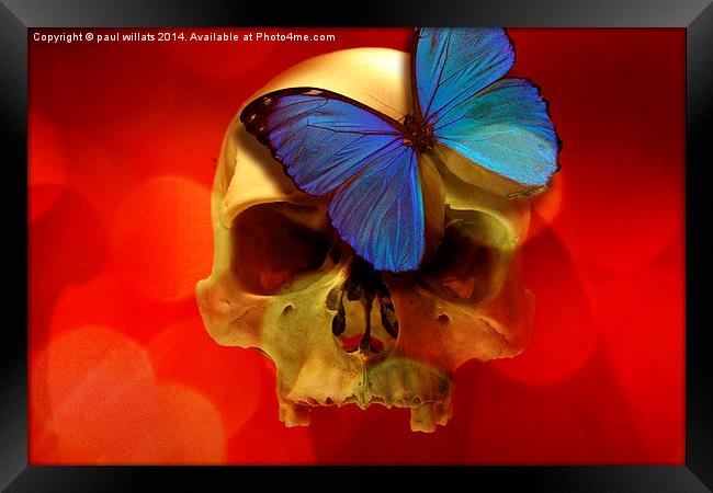  SKULL AND BUTTERFLY Framed Print by paul willats
