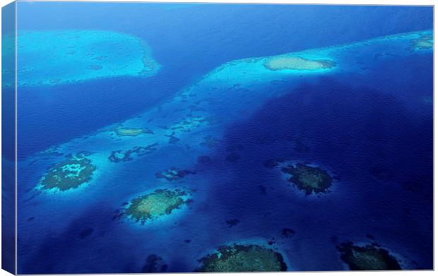  Maldivian Reefs. Aerial View  Canvas Print by Jenny Rainbow