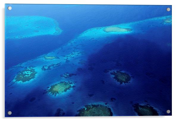  Maldivian Reefs. Aerial View  Acrylic by Jenny Rainbow