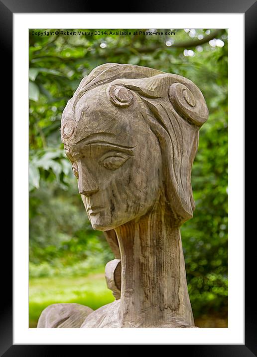  Regal Head in Wood Framed Mounted Print by Robert Murray