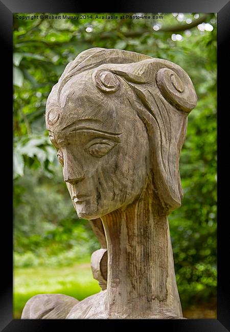  Regal Head in Wood Framed Print by Robert Murray