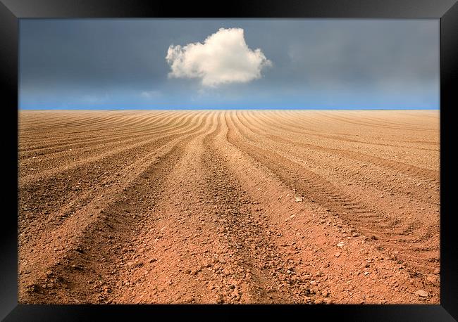  A Ploughed Field and a Cloud Framed Print by Mal Bray