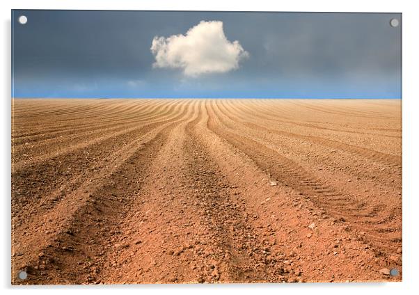  A Ploughed Field and a Cloud Acrylic by Mal Bray