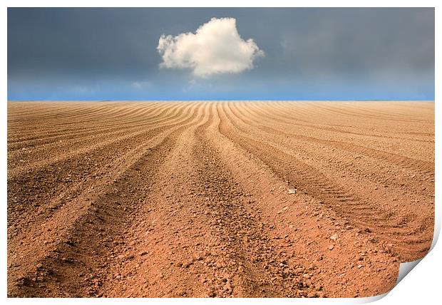  A Ploughed Field and a Cloud Print by Mal Bray