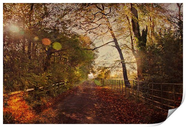  Autumn Leaves Print by Dawn Cox