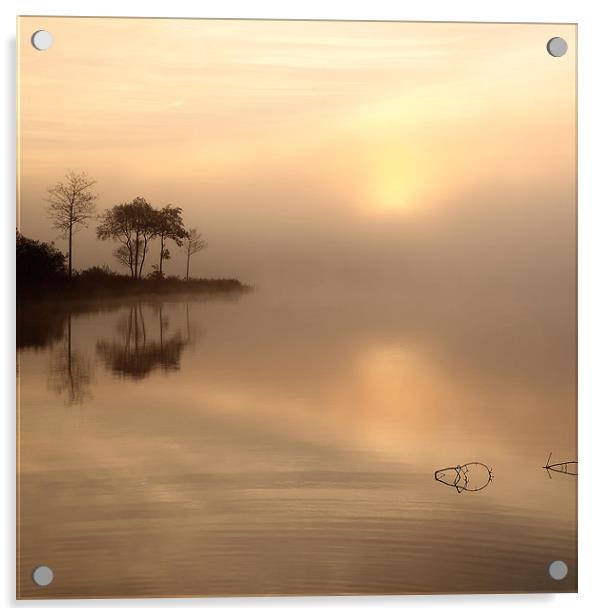 Loch Ard Misty Sunrise Acrylic by Maria Gaellman