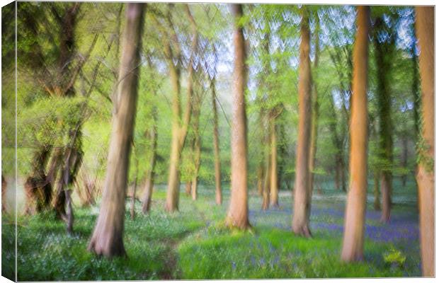 Impressionist Bluebells  Canvas Print by Simon Rutter