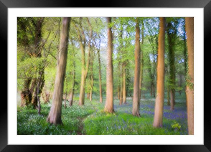 Impressionist Bluebells  Framed Mounted Print by Simon Rutter