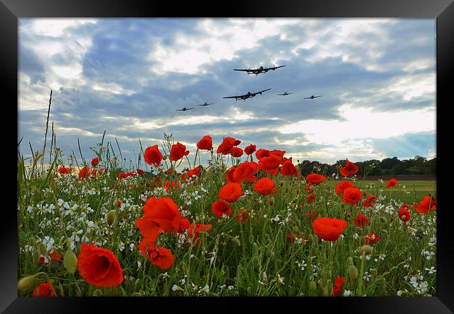 Warbirds Remembrance  Framed Print by J Biggadike